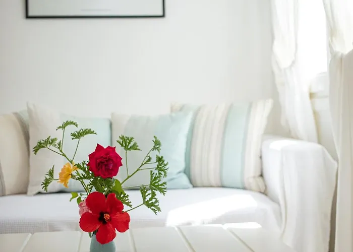 Kavos Naxos Lägenhetshotell 4*